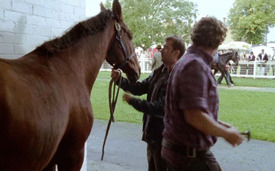 http://i.picasion.com/pic41/2cb88a0561319e2504a15388d75338e6.gif