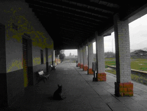 resize image