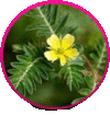 crear gif