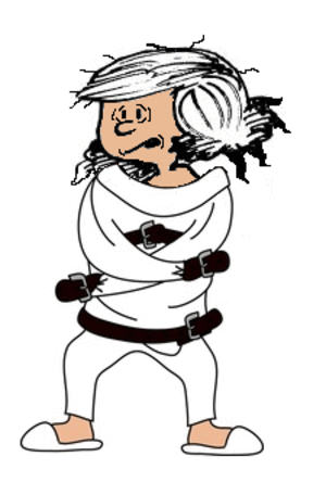 picasion
