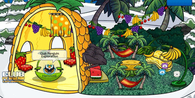 how do you make gifs