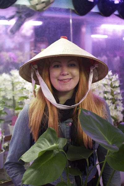 picasion.com gif maker