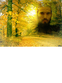 animated gif maker