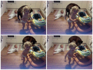 gif make