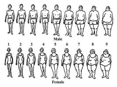 Body type scale- Shallowness and Insecurity - Forums 