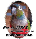 Avatar de Usuario