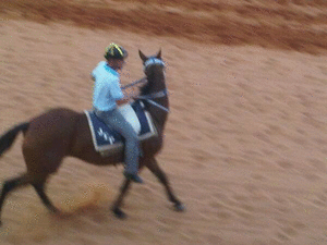 Titulo de la entrada