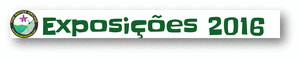 http://picasion.com/