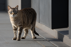 61f43d8926cfa28ef6d504e853b2c71b.gif