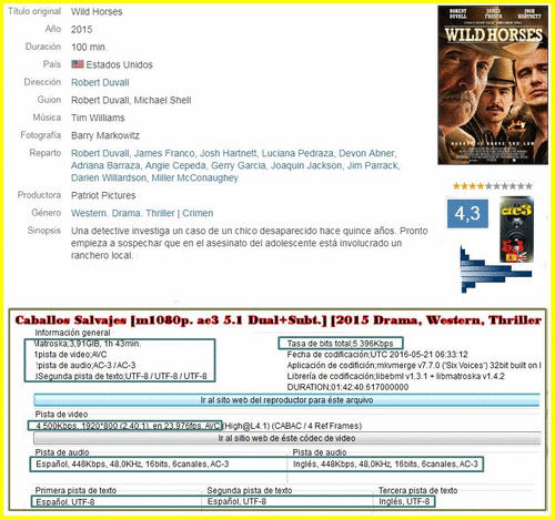 a4e0761a3bd334577248f701d1c0ae31 - Caballos Salvajes (2015) [m1080p. ac3 5.1+Subt.] [Thriller, Western, Drama]