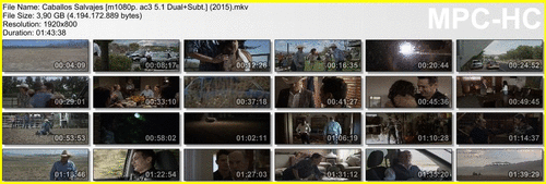 f9d6b2a30d32350af445d771cdc5e433 - Caballos Salvajes (2015) [m1080p. ac3 5.1+Subt.] [Thriller, Western, Drama]