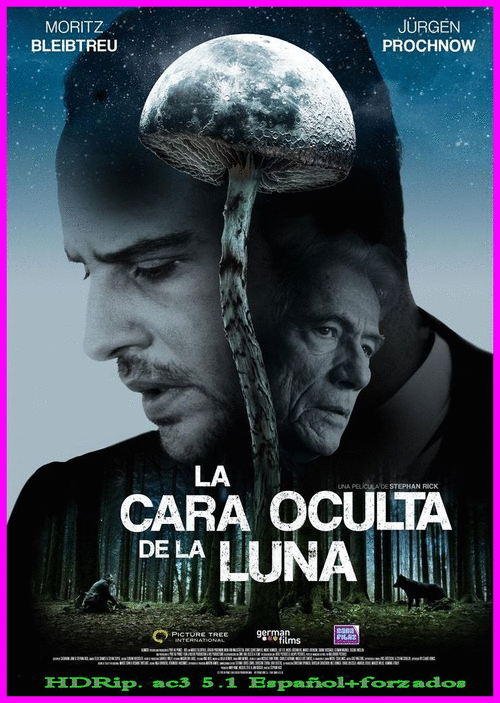 089ad48c30e2e55fc636d68ecb36d524 - La Cara Oculta de la Luna (2015) [HDRip ac3 5.1 Español+forzados] [Thriller]