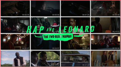42b193dd3285114ef23c93b490cd16d1 - Hap and Leonard: The Two Bear Mambo (2018) [T3] [HDiTunes, No Logo TV, Español] [Thriller-Drama] [6/6]