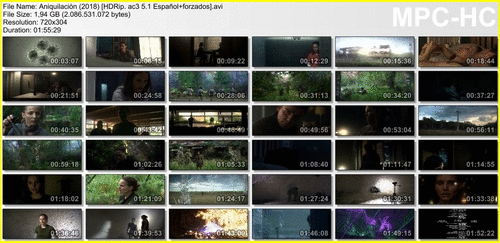 46cd801606247d082cb54df76ad25943 - Aniquilación (2018) [HDRip. ac3 5.1 Español+forzados] [Ficción, Thriller Psicológico]