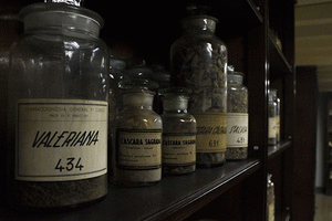 Museo de Farmacobotánica