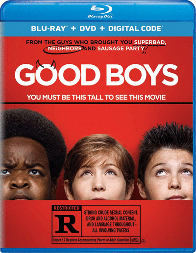 Good Boys (2019) 1080p BDRip Dual Latino-Inglés [Subt. Esp]