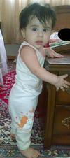 image resizer