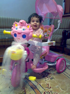 resize picture