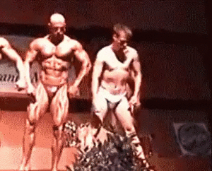 31e9e80f866730f001ba92c6a93f9d76.gif