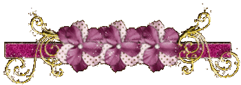 picasion.com