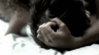 86504d0e325679312a50d7ccafe2dd15.gif