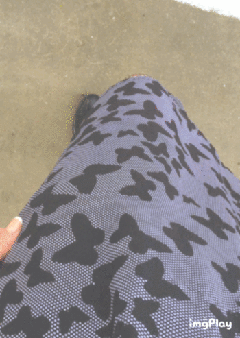 b89d2fff3bdcfc6e5074ab3fc8e31b88.gif