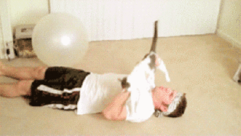 b8a262d3a75893311e38286f5169b829.gif