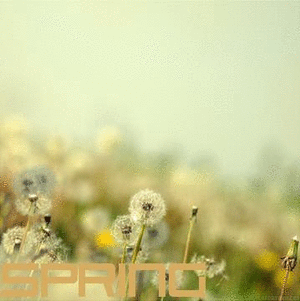 4b4837a7cc71a5aa93d8755710c78c61.gif