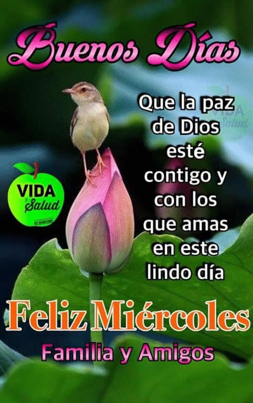 https://picasion.com/