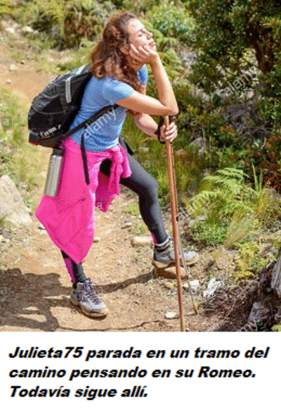 Your image is loading...