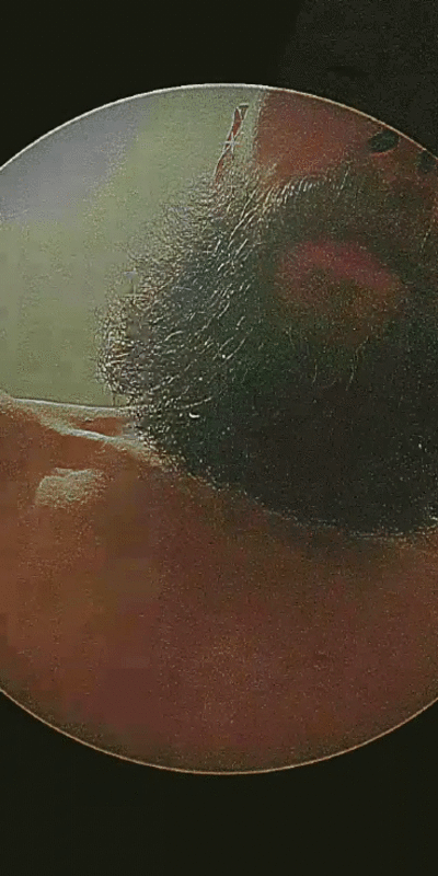 a0a049510b8436523bdc6598f022039b.gif