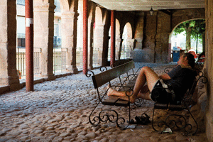 Your image is loading...