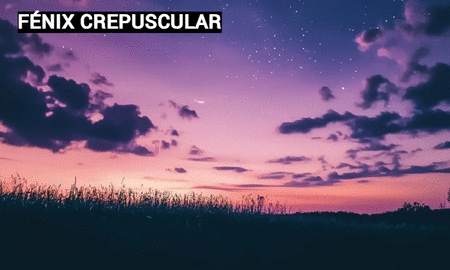 0baa1e55893f0e868d341ff5a1c07f4c.gif