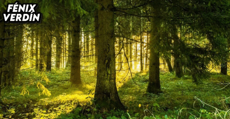 4e7eb358de7d4850f11f4d43ea62e74c.gif