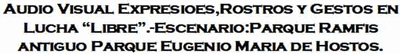 Audio Visual Expresiones,Rostros y Gestos en Lucha Libre