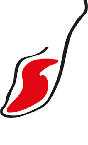 JAMÓN Y SALUD, ESPIGA DE PLATA 2025, LOS MEJORES IBÉRICOS EXTREMEÑOS PRECIO/CALIDAD A UN PASO